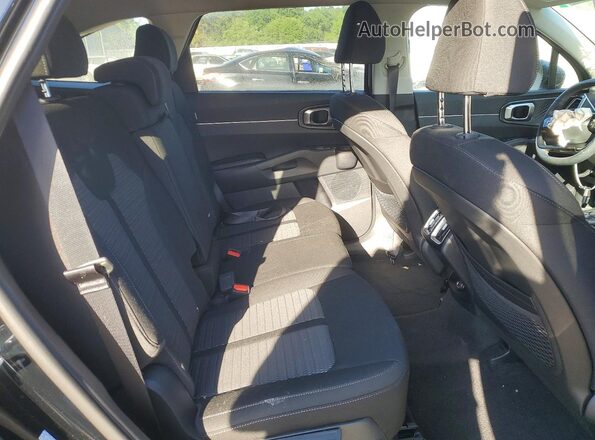5XYRG4JC5TG439132 2026 KIA SORENTO Черный Вид задней части салона
