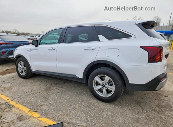 5XYRG4JC9RG297733 2024 KIA SORENTO Белый Задняя левая четверть