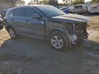 2023 Kia Sorento Lx Серый vin: 5XYRG4LC5PG181102
