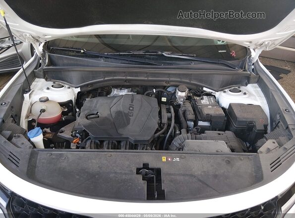 5XYRG4LCXMG046175 2021 KIA SORENTO White Widok z tyłu