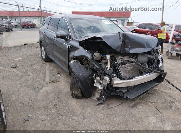 5XYRGDLCXMG022409 2021 KIA SORENTO Черный Передняя правая четверть