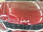 2024 Kia Sorento Sx Burgundy vin: 5XYRK4JF9RG260545
