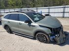 2024 Kia Sorento Sx Green vin: 5XYRKDJF5RG299679