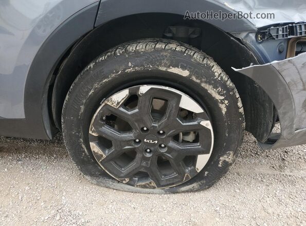 5XYRL4JC2RG287895 2024 KIA SORENTO Blue 