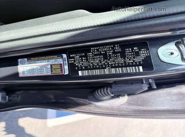 5XYRL4JC4RG275327 2024 KIA SORENTO Серый Вид задних сидений
