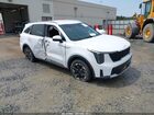 2024 Kia Sorento S White vin: 5XYRL4JC8RG285469