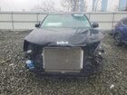 2024 Kia Sorento S Black vin: 5XYRL4JC8RG289053