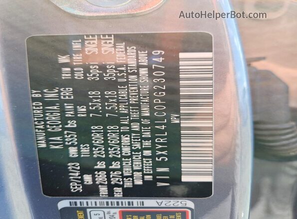 5XYRL4LC0PG230749 2023 KIA SORENTO Серый Панорамный вид салона 360°