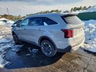2025 Kia Sorento S Gray vin: 5XYRLDJC2SG329360