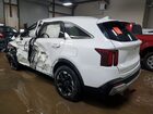 2024 Kia Sorento S White vin: 5XYRLDJC4RG286893