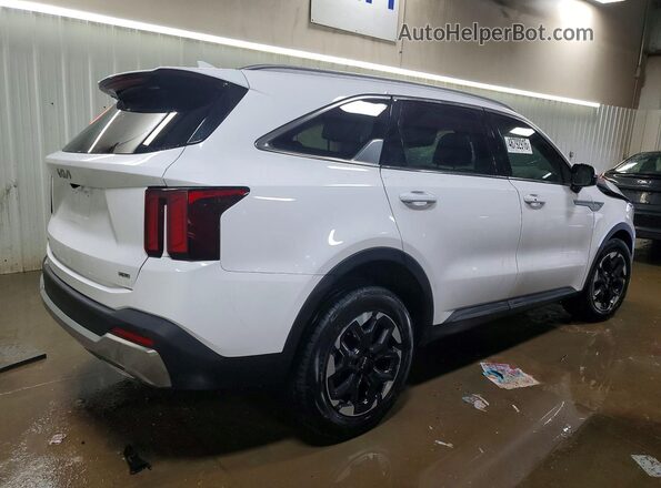 5XYRLDJC4RG286893 2024 KIA SORENTO White Задня права чверть