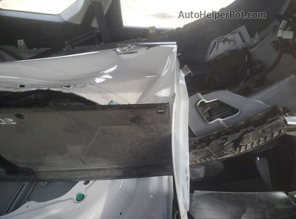 5XYRLDJC8SG349175 2025 KIA SORENTO Белый Вид задней части салона