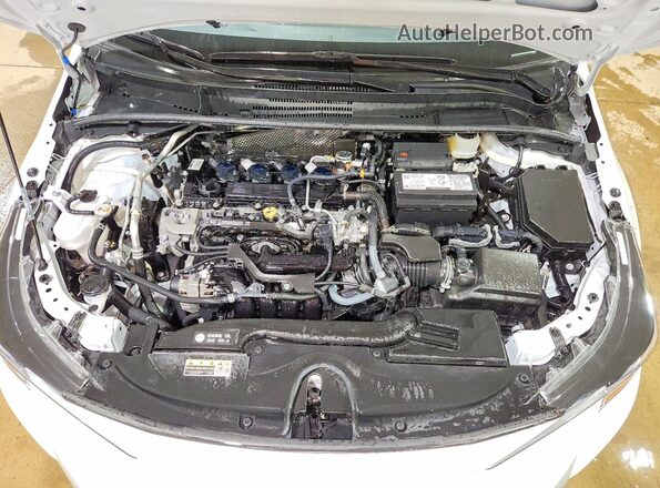 5YFB4MDE5SP300166 2025 TOYOTA COROLLA Белый Вид задней части салона