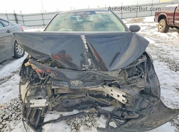 5YFEPMAE1MP181270 2021 TOYOTA COROLLA Черный Вид спереди