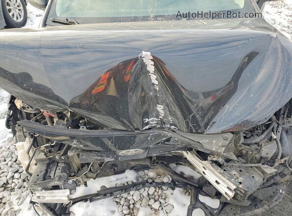 5YFEPMAE1MP181270 2021 TOYOTA COROLLA Черный Вид задней части салона