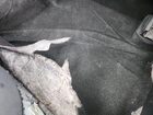 2021 Toyota Corolla Se Белый vin: 5YFS4MCE8MP095995 Damage: Right Rear Carpet, Torn, 8 To 9 Inches