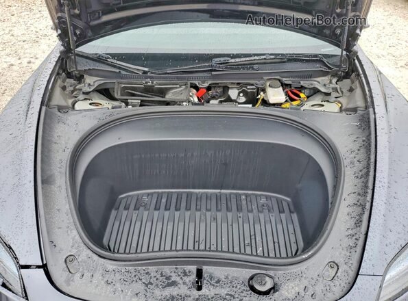 5YJ3E1EA1SF907124 2025 TESLA MODEL Серый Вид задней части салона