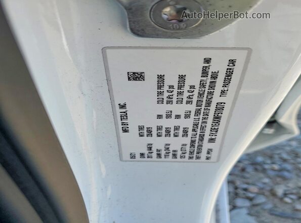 5YJ3E1EAXMF978079 2021 TESLA MODEL White Вид наклейки з VIN-кодом