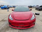 2019 Tesla Model 3 Red vin: 5YJ3E1EB2KF210604