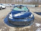 2019 Tesla Model 3 Black vin: 5YJ3E1EB2KF406509
