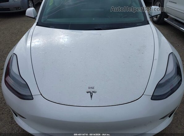 5YJ3E1EB4MF876558 2021 TESLA MODEL 3 White Vista trasera