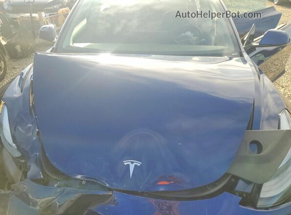 5YJ3E1EB5MF064735 2021 TESLA MODEL Blue Vista interior trasera