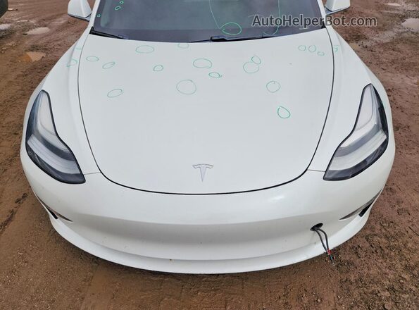 5YJ3E1EB7KF413665 2019 TESLA MODEL White უკანა სალონის ხედი
