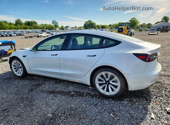 5YJ3E1EB9NF275423 2022 TESLA MODEL Белый Задняя левая четверть