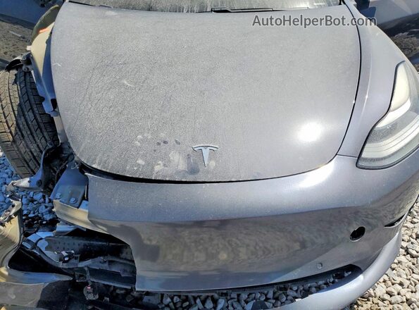 5YJ3E1EC2MF973315 2021 TESLA MODEL Серый Вид задней части салона