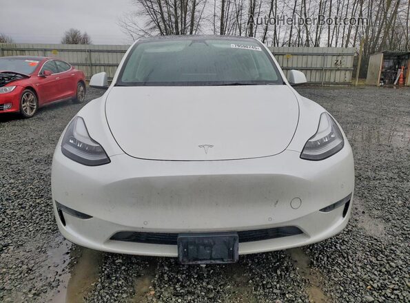 5YJYGAEE5MF196386 2021 TESLA MODEL White Vista frontal