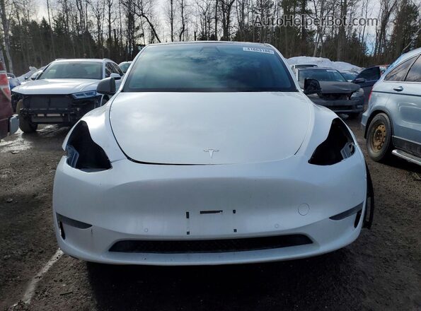 5YJYGDEE0MF194143 2021 TESLA MODEL Белый Вид спереди