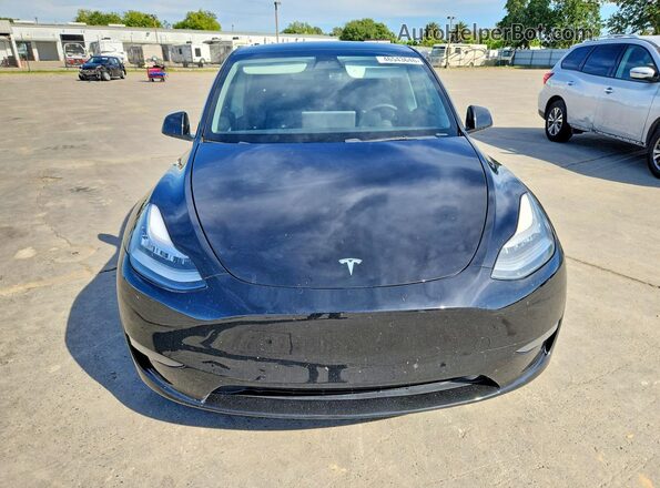 5YJYGDEE2MF080080 2021 TESLA MODEL Black Widok z przodu