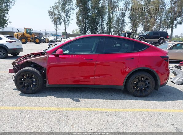 5YJYGDEE2MF151875 2021 TESLA MODEL Y Red 