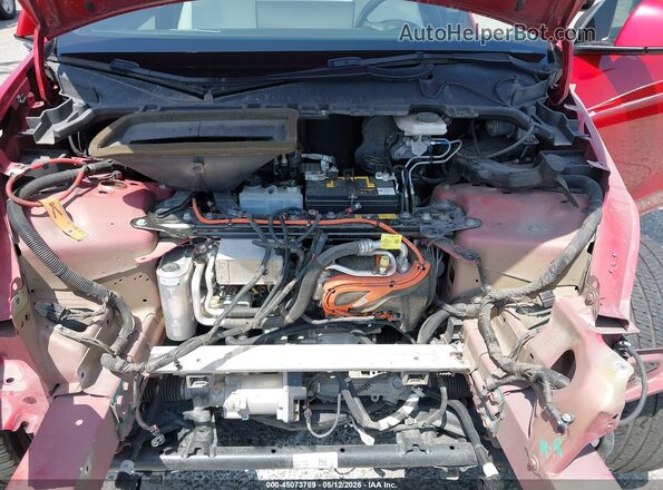 5YJYGDEE2MF151875 2021 TESLA MODEL Y Red Widok z tyłu
