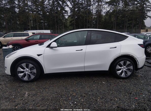 5YJYGDEE2MF254861 2021 TESLA MODEL Y White 