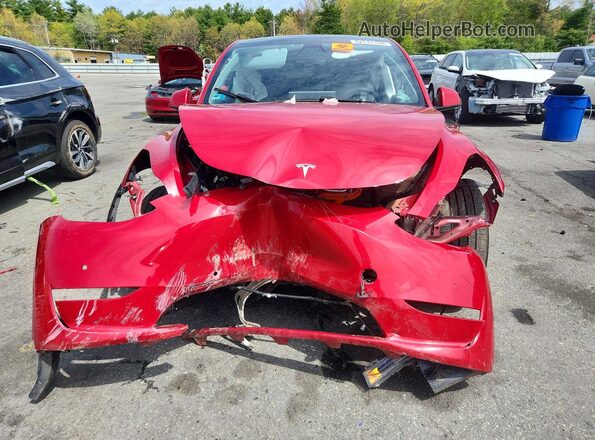5YJYGDEE3MF207886 2021 TESLA MODEL Red Vista frontal