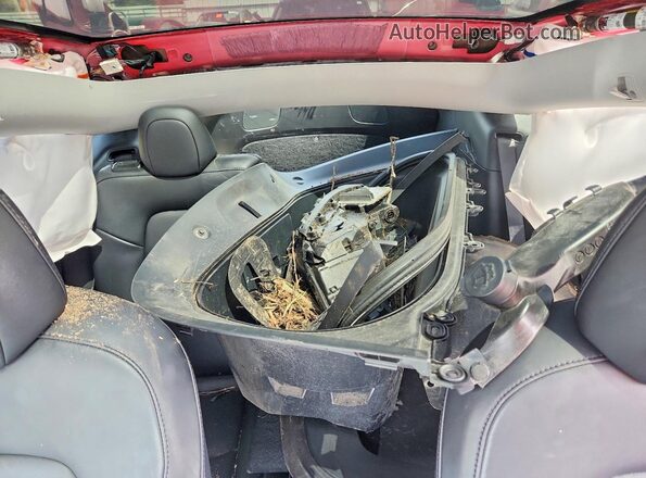 5YJYGDEE3MF207886 2021 TESLA MODEL Red Vista de los asientos traseros
