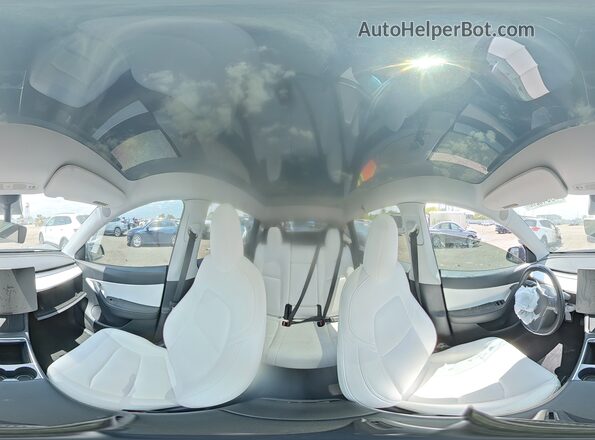 5YJYGDEE3MF244159 2021 TESLA MODEL Gray Vista de la etiqueta del VIN