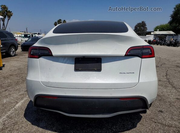 5YJYGDEE8LF052833 2020 TESLA MODEL Белый Вид сзади