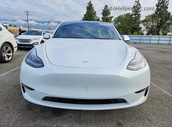 5YJYGDEE8MF159205 2021 TESLA MODEL White წინა ხედი