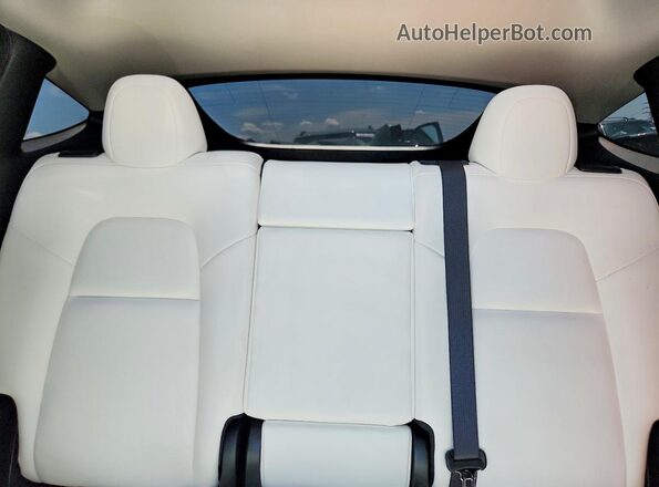 5YJYGDEE8MF201369 2021 TESLA MODEL Белый Вид задних сидений