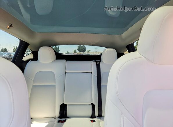 5YJYGDEE9MF067441 2021 TESLA MODEL Синий Вид задних сидений