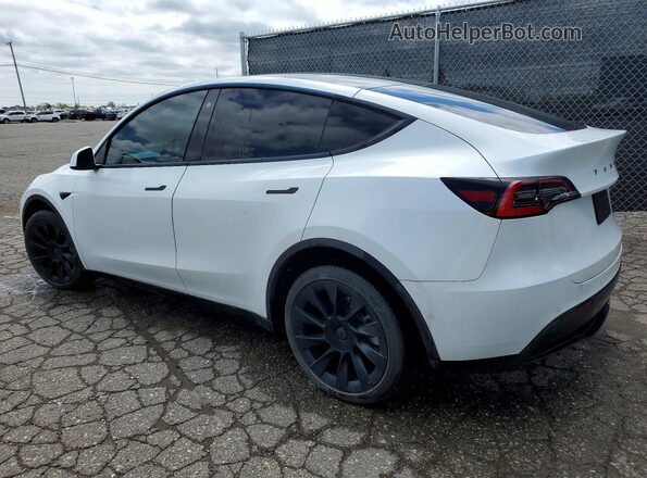 5YJYGDEE9MF113267 2021 TESLA MODEL White უკანა მარცხენა