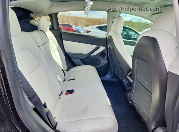 5YJYGDEF3LF024544 2020 TESLA MODEL Черный Вид задней части салона