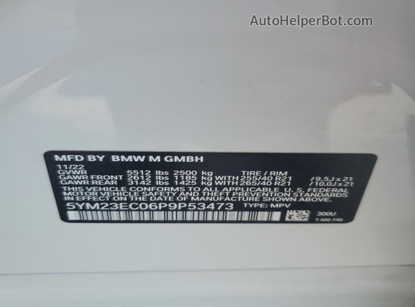 5YM23EC06P9P53473 2023 BMW X4 Белый Вид наклейки с VIN-кодом
