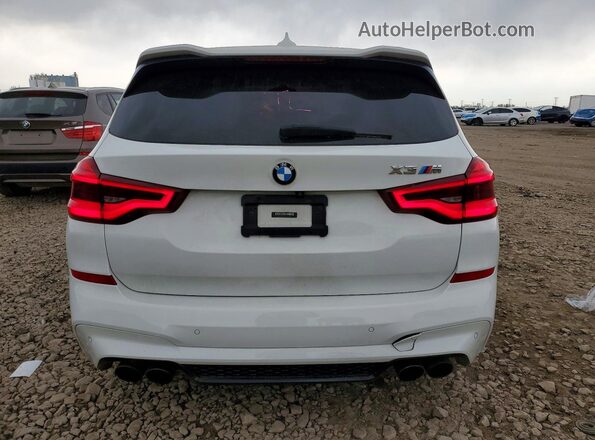 5YMTS0C02LLT10244 2020 BMW X3 White Հետևի տեսք