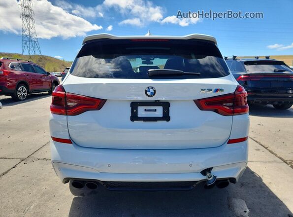 5YMTS0C05M9D81715 2021 BMW X3 Белый Вид сзади