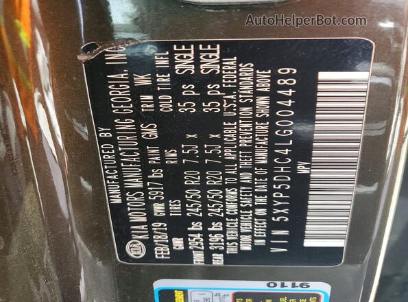 5XYP5DHC4LG004489 2020 KIA TELLURIDE Коричневый Панорамный вид салона 360°