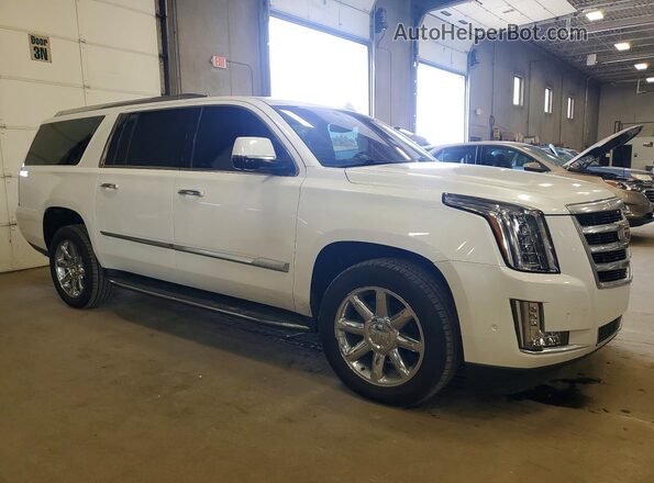 1GYS4JKJ9LR207084 2020 CADILLAC ESCALADE Белый Вид спереди