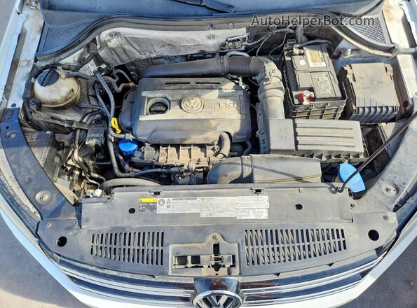 WVGUV7AX5HW507536 2017 VOLKSWAGEN TIGUAN White Vista del compartimento del motor